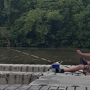 Meet your Posher, Konor